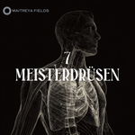 7 Meisterdrüsen