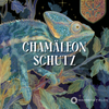 Chamäleon-Schutz – Energieschutz