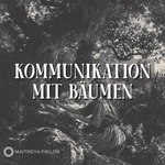 Kommunikation mit Bäumen [DM + Audio]