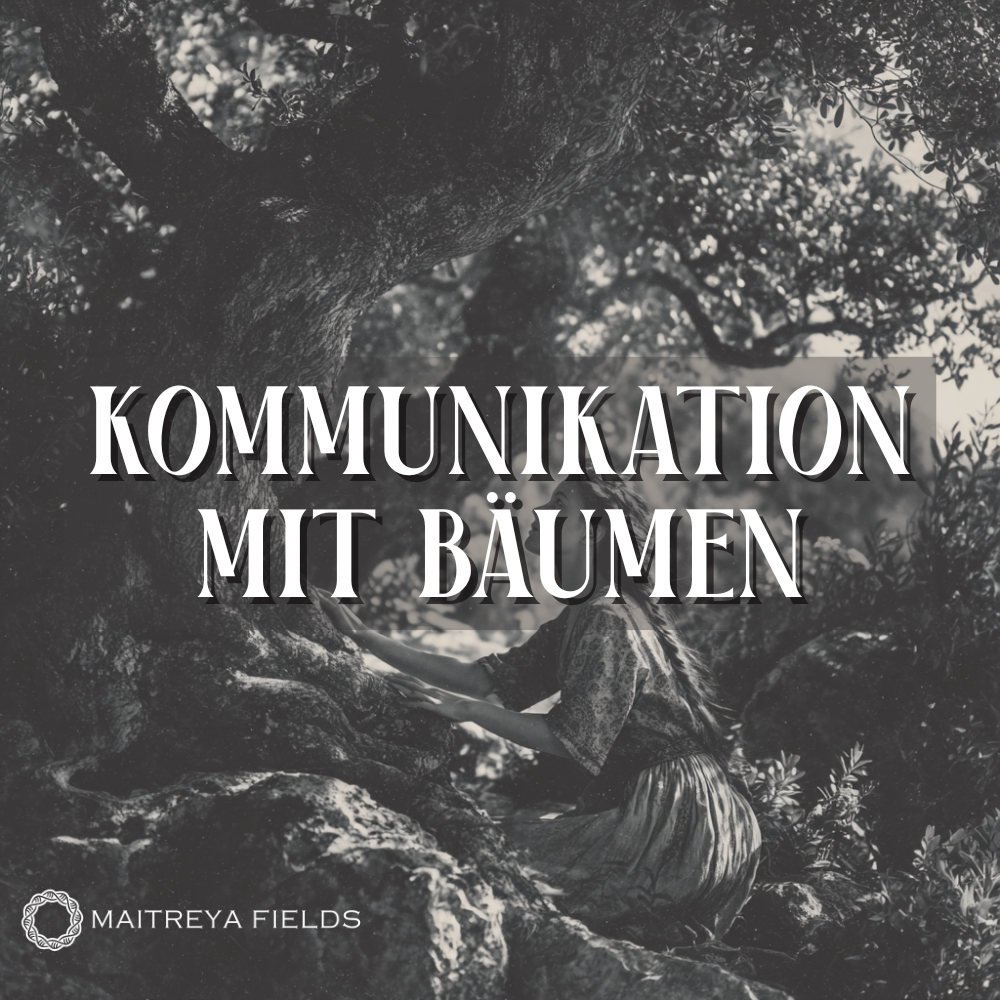 Kommunikation mit Bäumen [DM + Audio]
