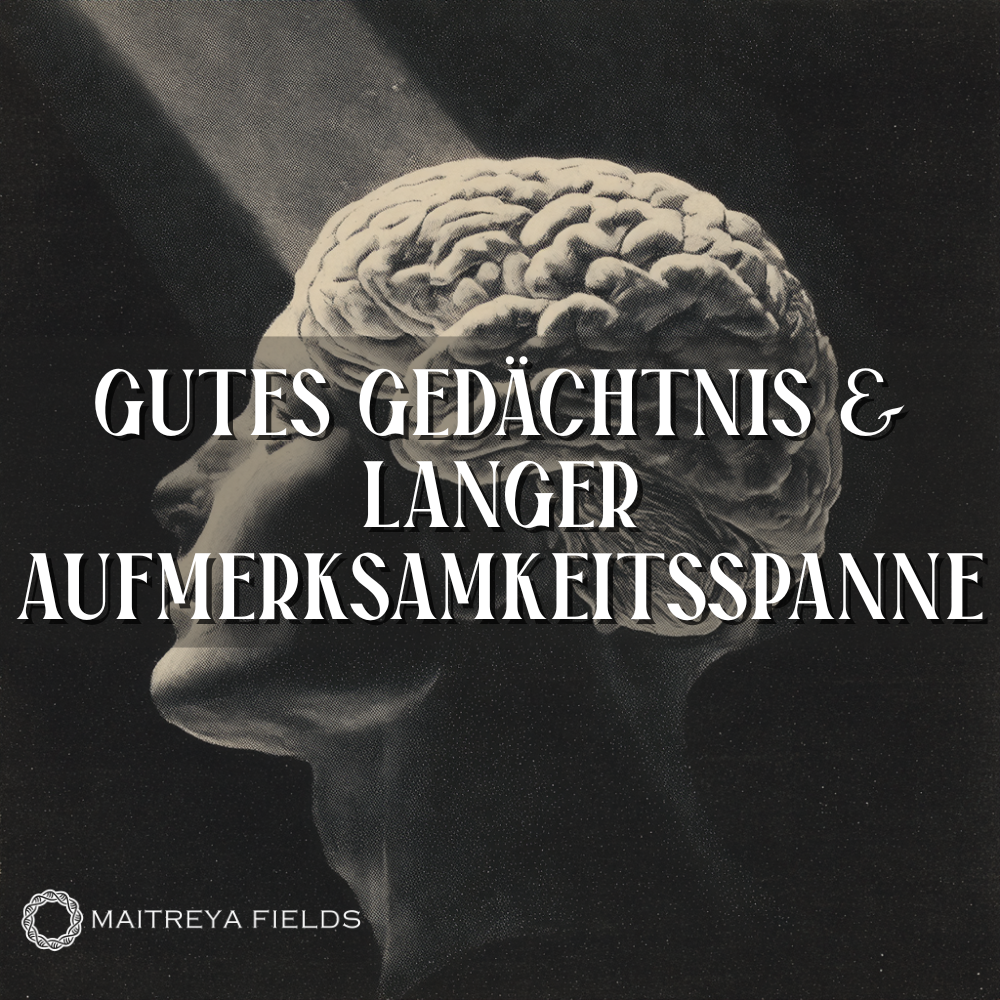 Gutes Gedächtnis & Langer Aufmerksamkeitsspanne