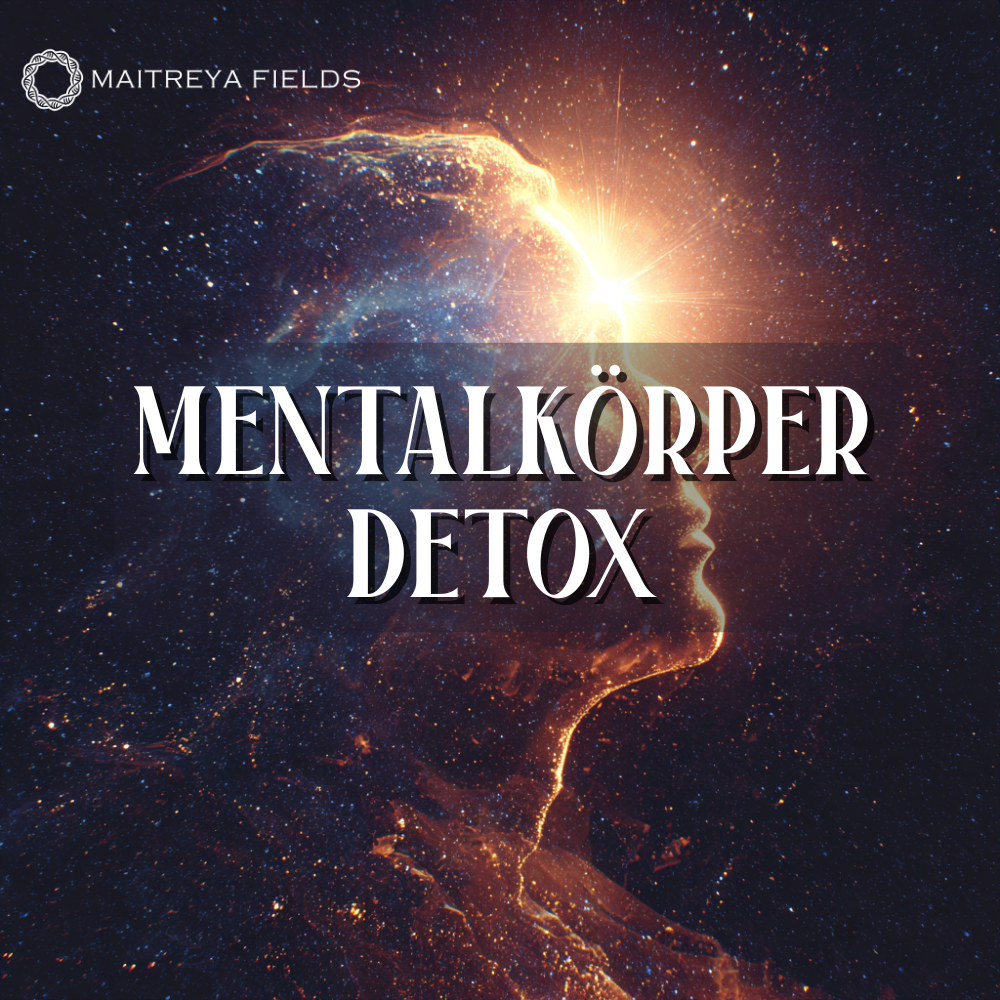 Mentalkörper-Detox